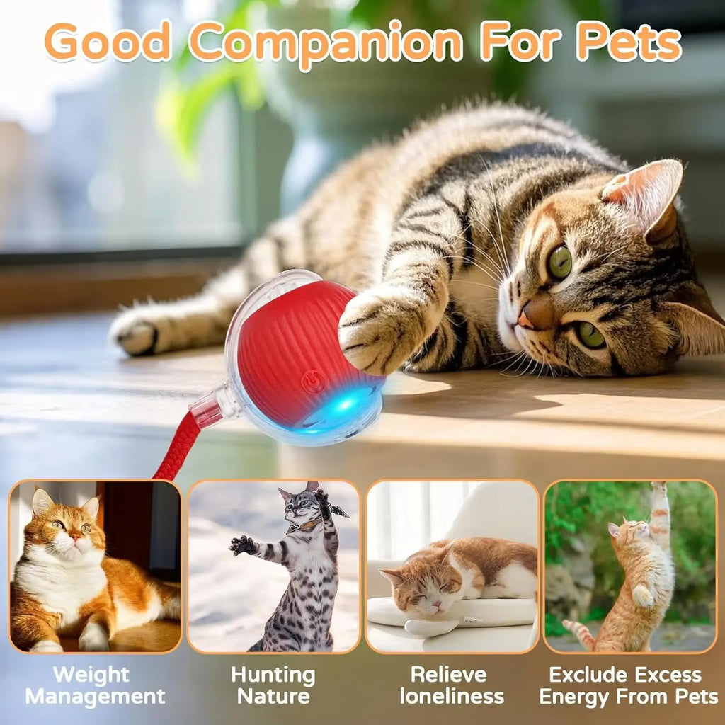 Cat Interactive Ball Toy Automatic Rolling Ball Faux Tail Rechargeable Smart Pet Electric Toy Pet Training Imitate Mouse